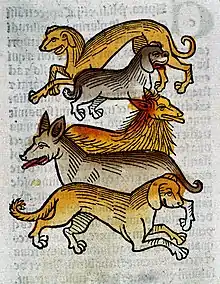 Image 45"Five different types of dogs", c. 1547. (from Dog breed)