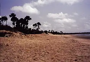 Image 5Gunjur is a small coastal town in south-western Gambia.