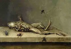 Dead Frog with Flies