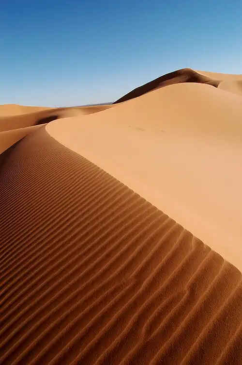 Image 30Erg Chebbi (Arabic: عرج شبّي) is the sole Saharan erg in Morocco. It is 22 km long (North-South) and 5 km wide. Its dunes reach a maximum height of 150 meters. It is located roughly 40 kilometers south-east of Erfoud. The local center for tourists is the village of Merzouga. (Credit: Rosa Cabecinhas and Alcino Cunha.) (from Portal:Earth sciences/Selected pictures)