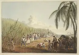 Image 15Sugar plantation in the British colony of Antigua, 1823 (from History of the Caribbean)