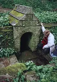Saint Keyene's Holy Well.