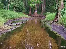 Flow changes along upper Peace River